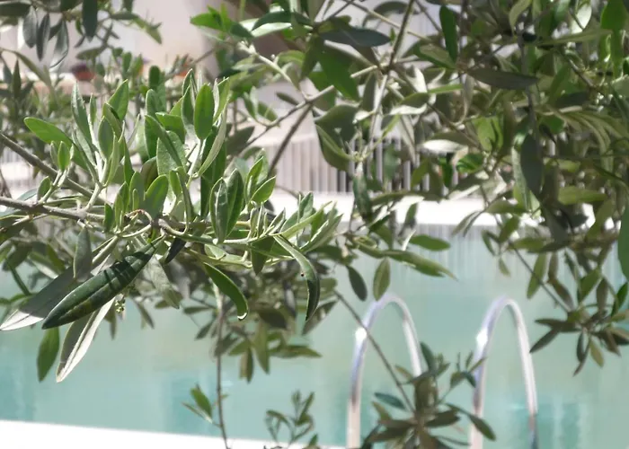 Colle Del SoleAlbergo